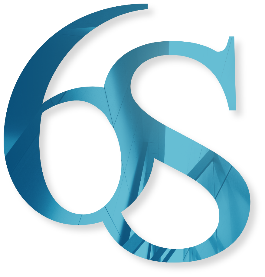 6S Development Secondary Logo